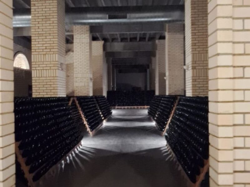 Encante-se com o Vale dos Vinhedos e aprenda técnicas para degustar vinhos e espumantes - Imagem 2