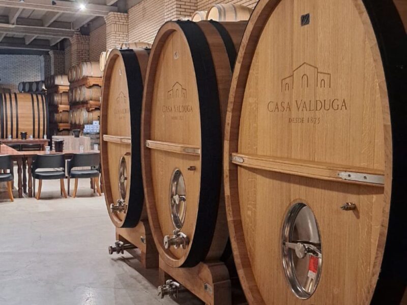 Explorando o terroir do Rio Grande do Sul em uma jornada de vinhos, cultura e tradição - Imagem 4