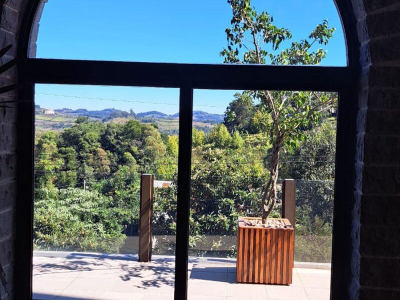 Explorando o terroir do Rio Grande do Sul em uma jornada de vinhos, cultura e tradição