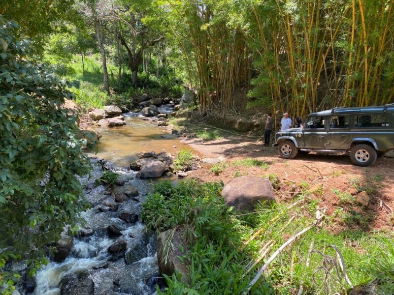 Off-road Experience: direção segura em trilhas reais para todos os níveis - Imagem 2