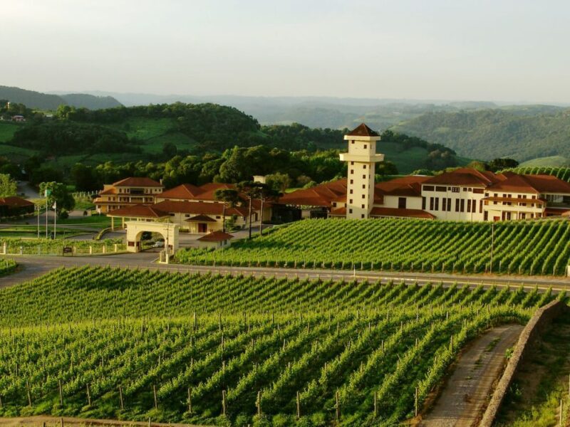 Explorando os sabores da terra em um tour pelo Vale dos Vinhedos - Imagem 3