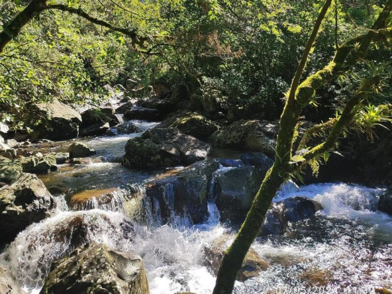 Imersão Natural: Explorando as Piscinas do Cânion Malacara - Imagem 3