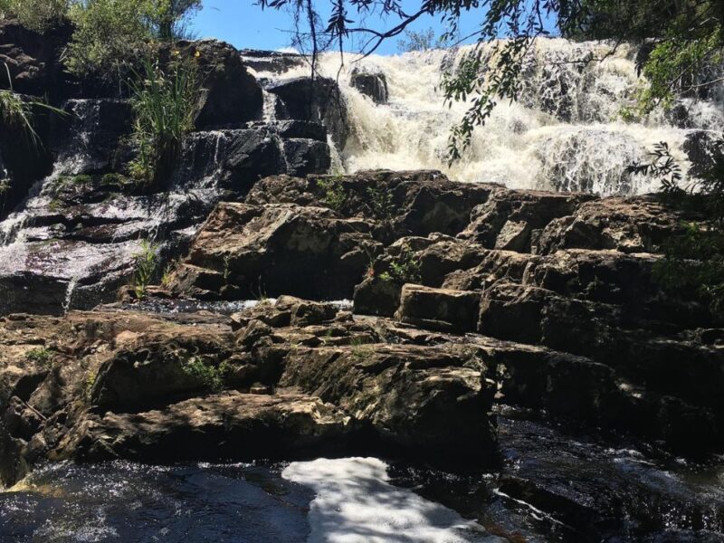 Melodias da natureza: visitando o refúgio natural da Cachoeira dos Vênancios - Imagem 3