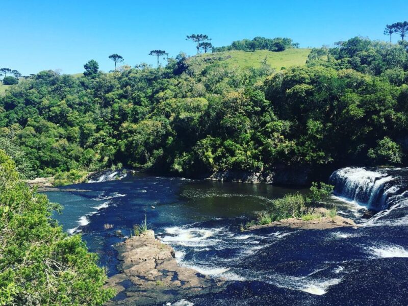 Melodias da natureza: visitando o refúgio natural da Cachoeira dos Vênancios - Imagem 4