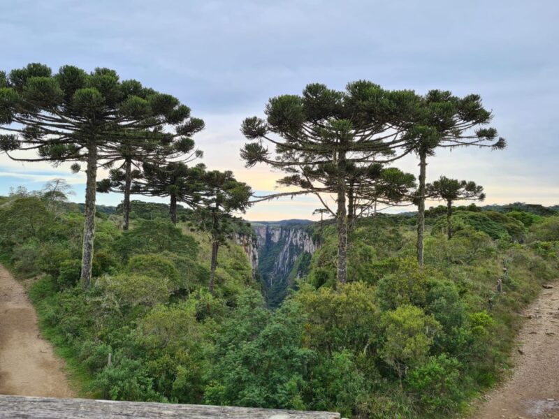 O silêncio das pedras: um retrato da natureza em um tour pelo Cânion Itaimbezinho - Imagem 2