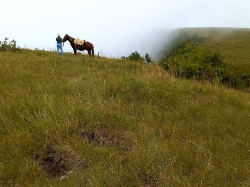Reconecte-se com a natureza em um passeio à cavalo em Cambará do Sul - Imagem 4