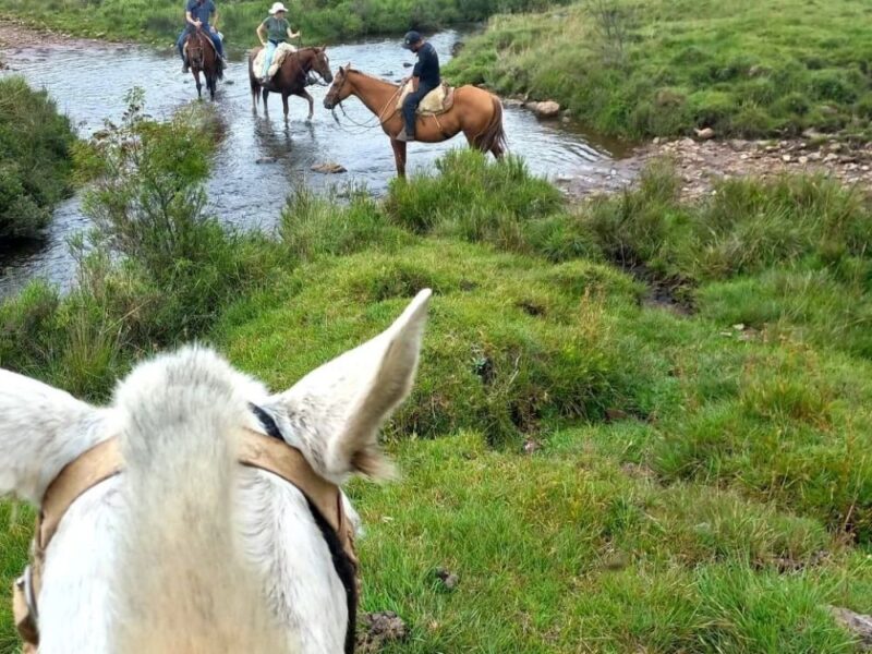 Reconecte-se com a natureza em um passeio à cavalo em Cambará do Sul - Imagem 3